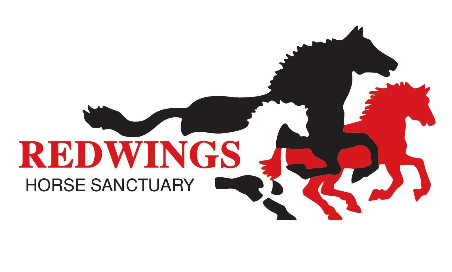 Redwings Horse Sanctuary Logo