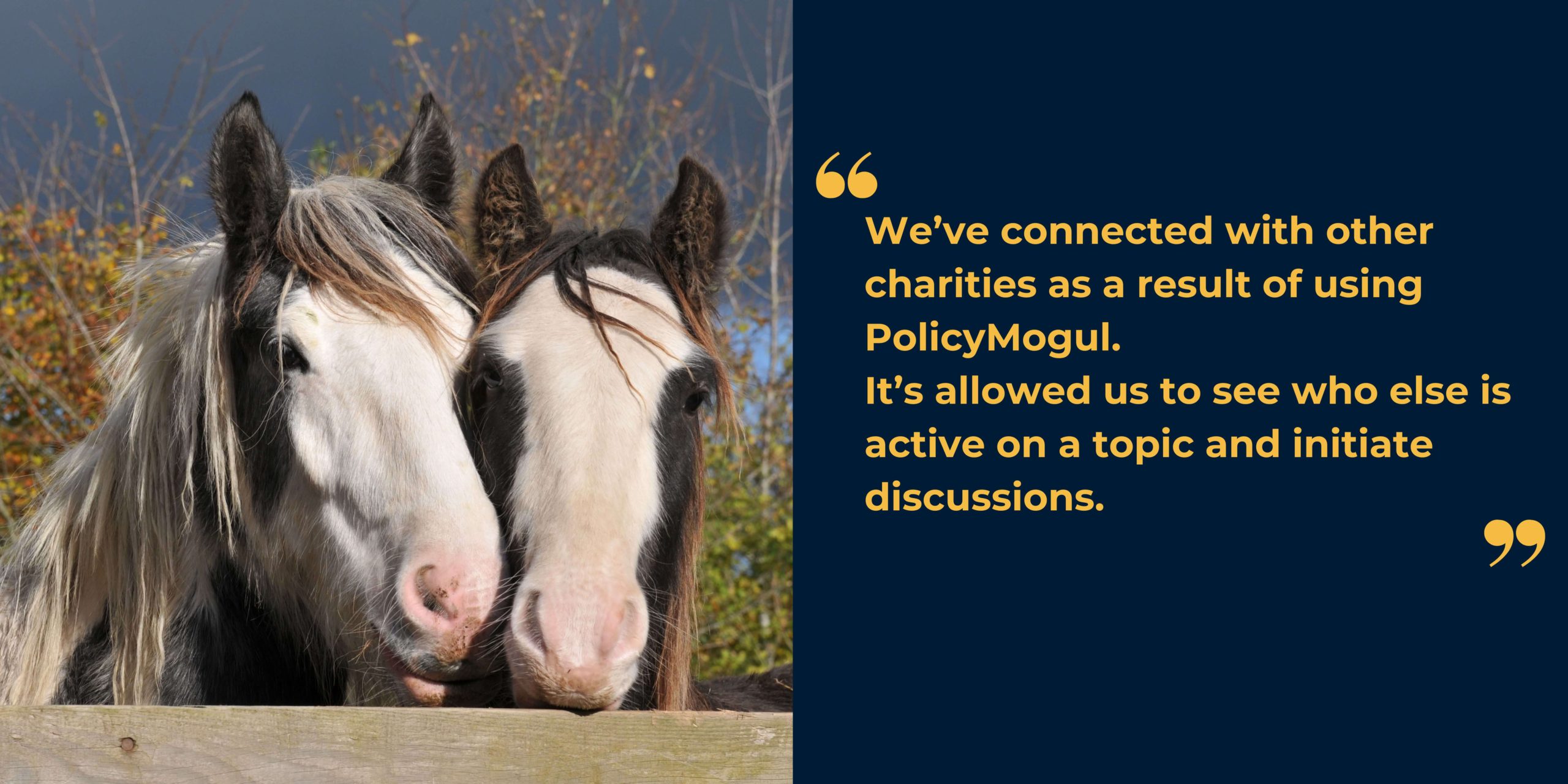 Image of two horses resting their heads on a fence alongside the text "We've connected with other charities as a result of using PolicyMogul. It's allowed us to see who else is active on a topic and initiate discussions."
