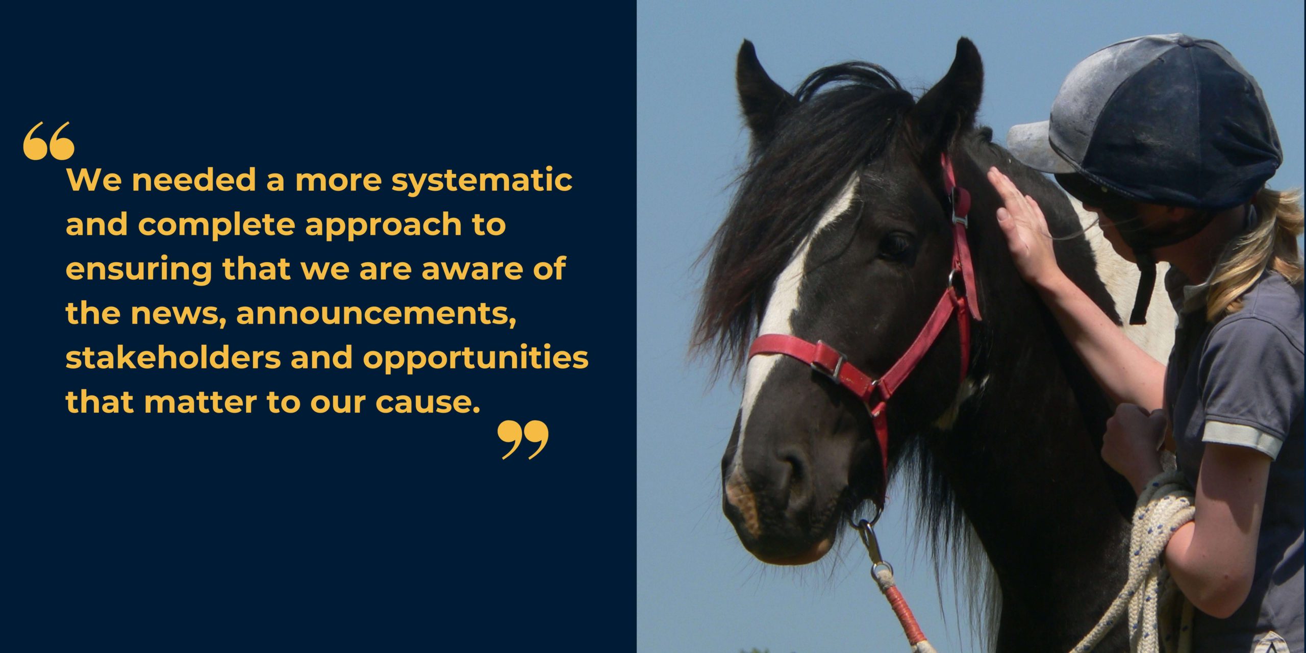 Image of a black horse being stroked by a woman in a horse riding helmet alongside the text "We needed a more systematic and complete approach to ensuring that we are aware of the news, announcements, stakeholders and opportunities that matter to our cause."